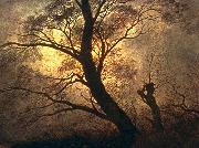 Caspar David Friedrich Trees in the moonlight oil